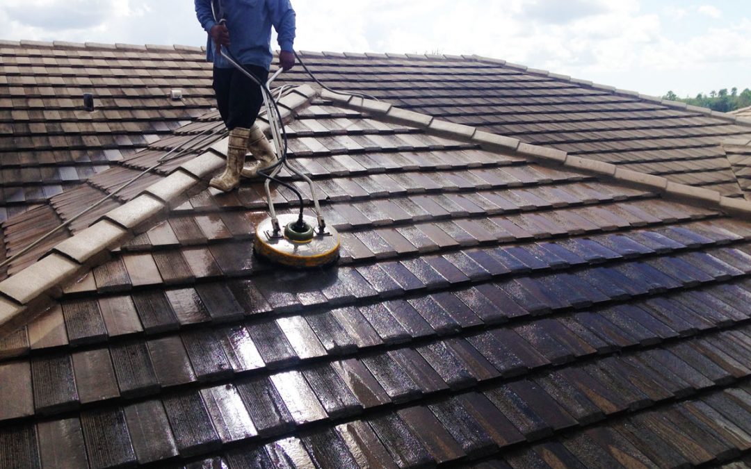Roof Cleaning Tips You Should Follow